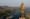 The Economic & Civic Voice Of Urban Gujarat